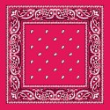 Paisley Bandana Pink