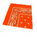 Paisley Bandana Orange
